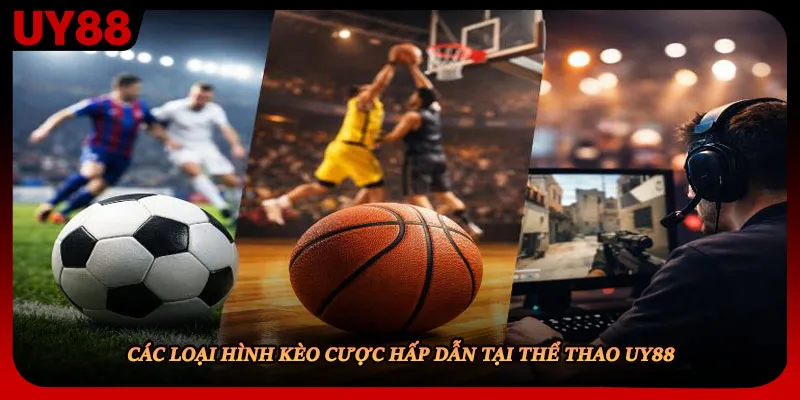 Các loại hình kèo cược hấp dẫn tại thể thao UY88